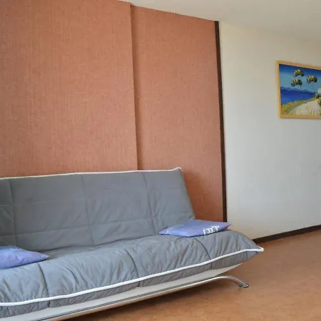 Appt Familial Avec Piscine, Parking A 700m De La - Fr-1-229d-8